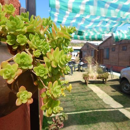 Hostal Del Suri Cafayate Bagian luar foto