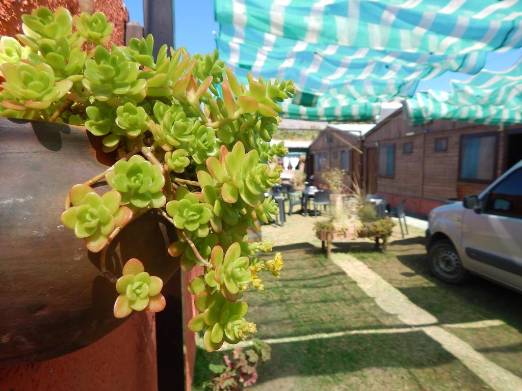 Hostal Del Suri Cafayate Bagian luar foto